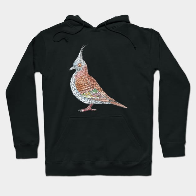 Crested Pigeon Hoodie by bangart